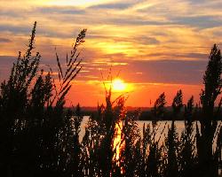 sea isle city real estate, sea isle city realtors, sea isle city condos for sale, sea isle city beach information, sea isle city for sale, sea isle city homes for sale, sea isle city nj, sea isle city foreclosures,  island realty group